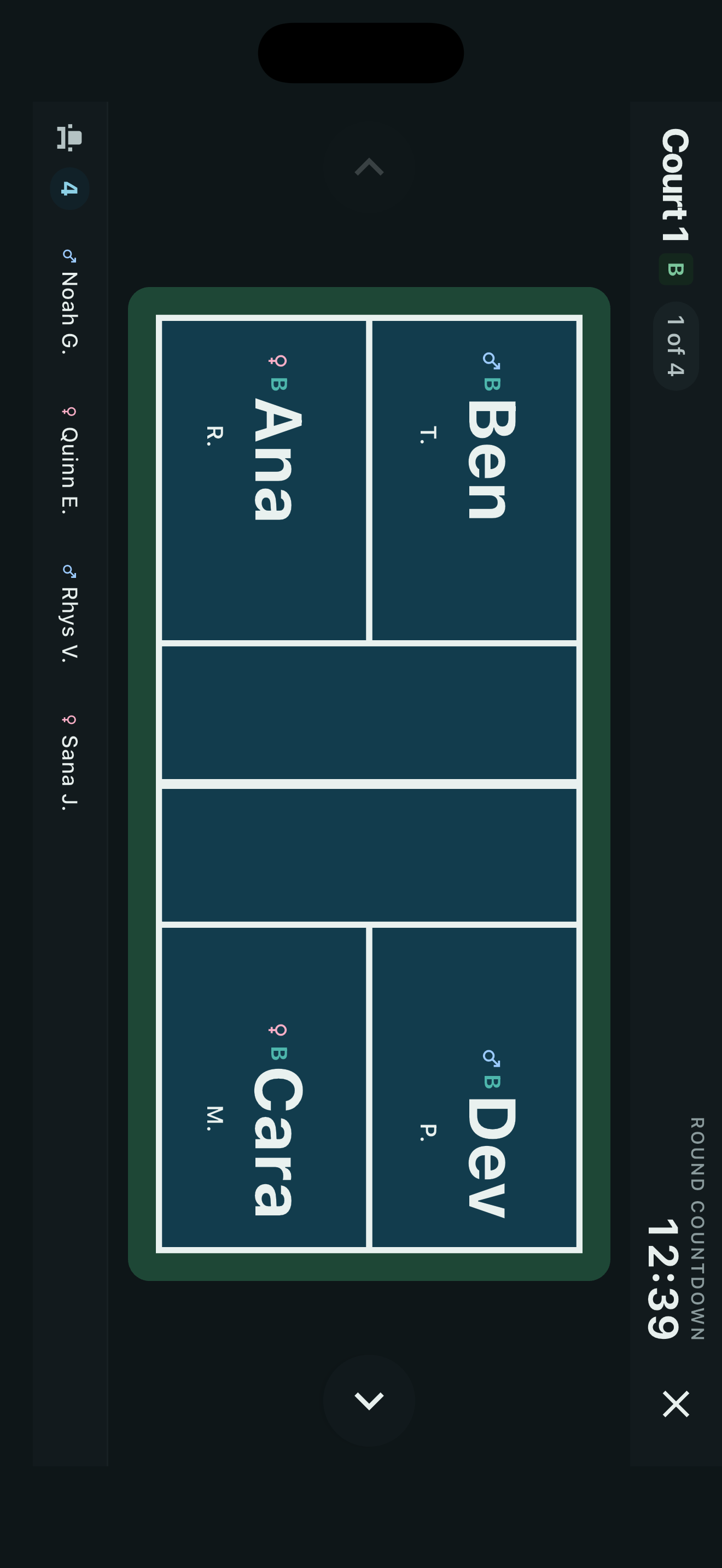Pickleball Mixer - Any court, full screen